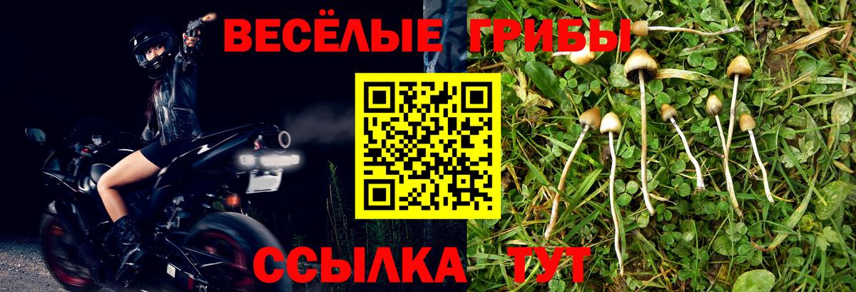 Галлюциногенные грибы мухоморы  Псилоцибиновые грибы Psilocybine cubensis  Сафоново  Вход с VPN 